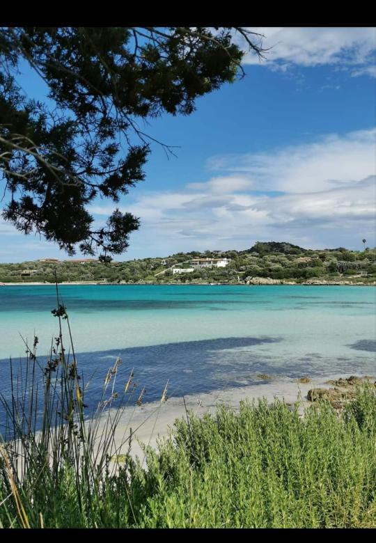 B&B Marina オルビア エクステリア 写真